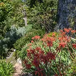 Pietrantica - Con Giardino Nuova Apertura A -citr Πανσιόν 3*