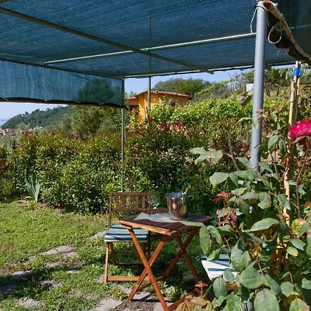 Pietrantica - Con Giardino Nuova Apertura A -citr