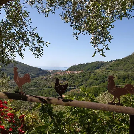 Pietrantica - Con Giardino Nuova Apertura A -citr Guest house 3*