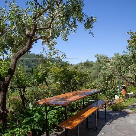 Pietrantica - Con Giardino Nuova Apertura A -citr Guest house 3*