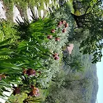 Pietrantica - Con Giardino Nuova Apertura A -citr Гостевой дом 3*