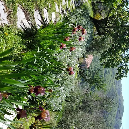 Pietrantica - Con Giardino Nuova Apertura A -citr ゲストハウス 3*