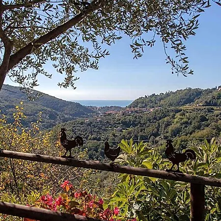 Pietrantica - Con Giardino Nuova Apertura A -citr 3* Trebiano