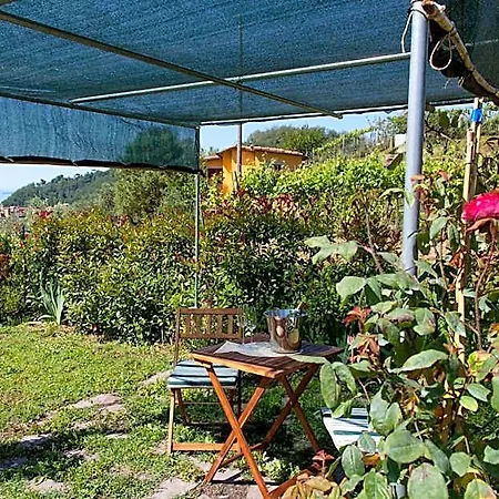 Pietrantica - Con Giardino Nuova Apertura A -citr Casa de hóspedes