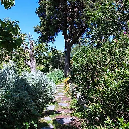 Casa de hóspedes Pietrantica - Con Giardino Nuova Apertura A -citr