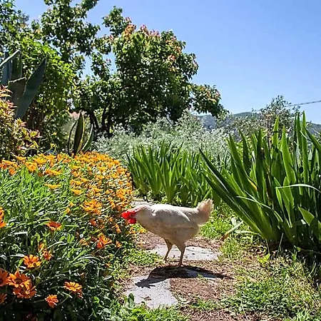 Pietrantica - Con Giardino Nuova Apertura A -citr Casa de hóspedes