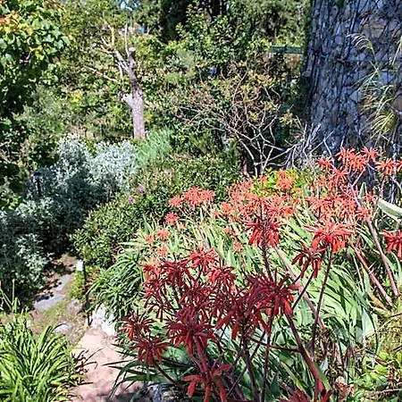 Vendégház Pietrantica - Con Giardino Nuova Apertura A -citr 3*