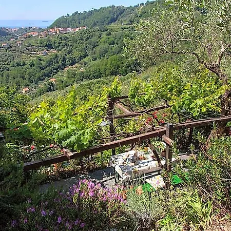 Pietrantica - Con Giardino Nuova Apertura A -citr Casa de hóspedes 3*