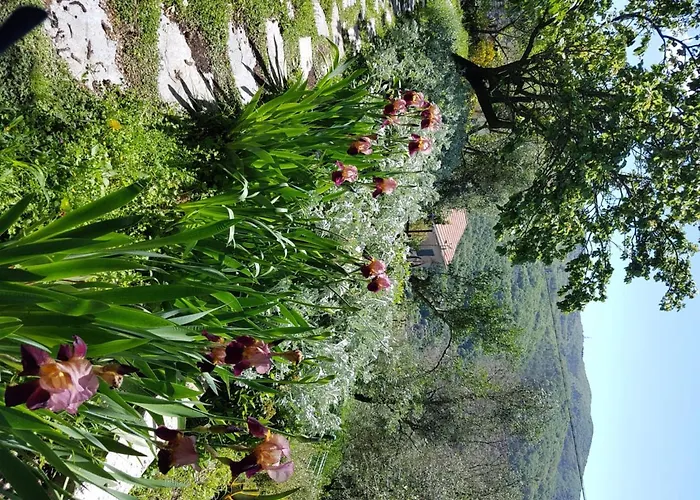 Pietrantica - Con Giardino Nuova Apertura A -citr Gæstehus 3*