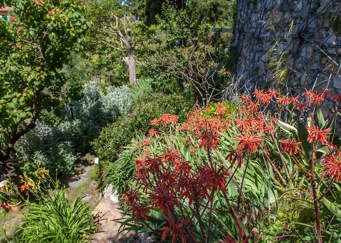 Pietrantica - Con Giardino Nuova Apertura A -citr Gæstehus 3*