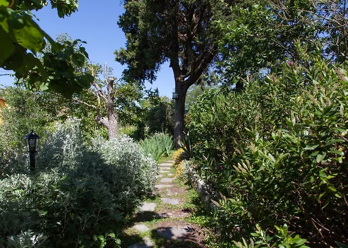 Pietrantica - Con Giardino Nuova Apertura A -citr
